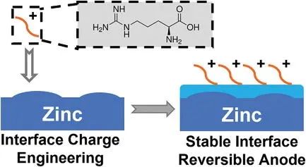 电池顶刊集锦：EES、AEM、AFM、Adv. Sci.、EnSM、Small等最新成果