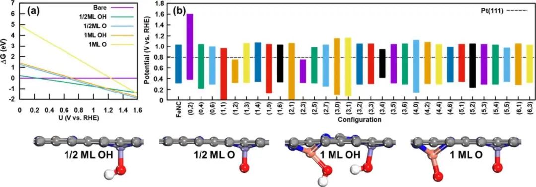 ACS Catalysis：氧还原反应双金属位催化剂的机理研究