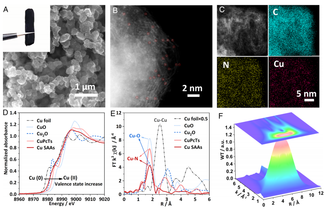 余桂华教授，同日连发JACS、PNAS！