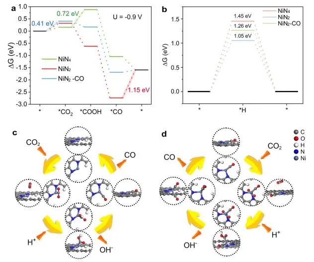 催化顶刊集锦：Nature子刊、JACS、ACS Nano、ACS Energy Lett.、AFM、NML等成果