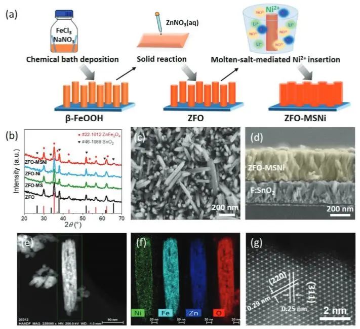 鲍骏/朱晓娣Adv. Sci.：ZnFe2O4上构建Ni−Fe双活性中心，高效促进光电化学水氧化