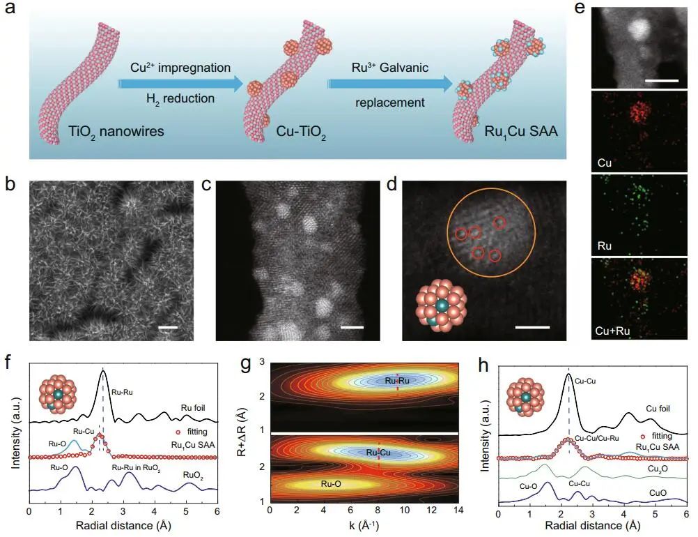 谭勇文/詹丁山Nature子刊：Ru1Cu SAA催化CO和亚硝酸盐高效合成甲酰胺