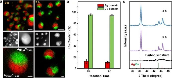 杨培东院士，最新JACS！