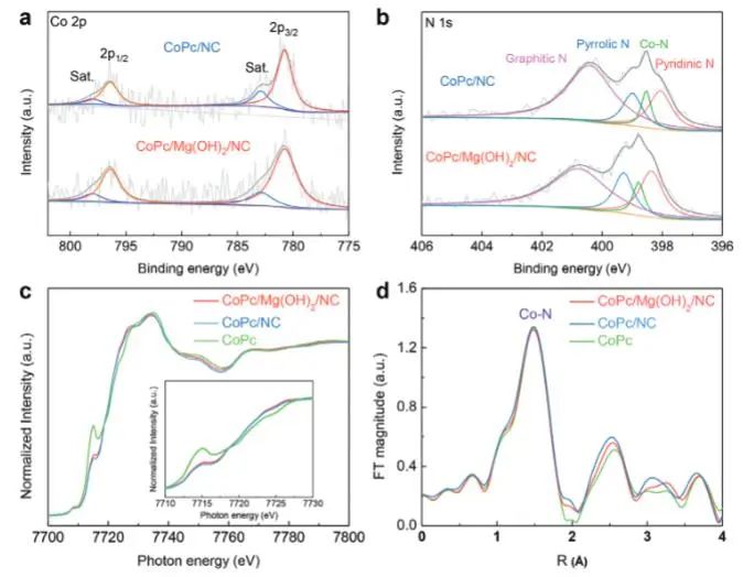 催化顶刊集锦：JACS、Angew、ACS Catal.、AFM、Adv. Sci.、Nano Lett.、Small等