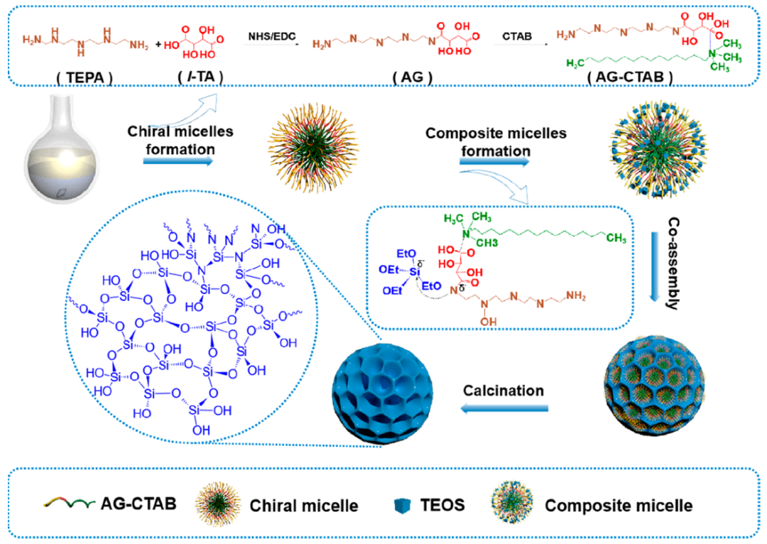 赵东元院士，最新JACS！