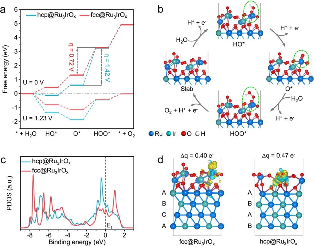 催化顶刊集锦：Nature子刊、JACS、ACS Catalysis、AEM、JMCA等成果！