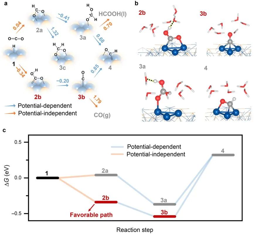 ​北大ACS Catalysis：Ni2P催化剂的多中心协同作用用于增强电化学CO2还原中的C-C偶联