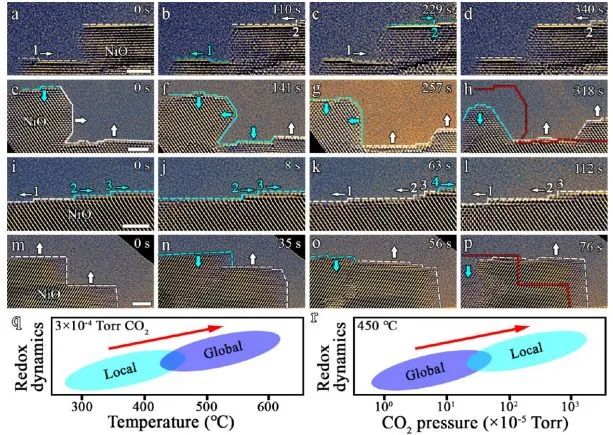 催化顶刊集锦：Nature、JACS、EES、ACS Catal.、ACS Nano、Small等成果精选！