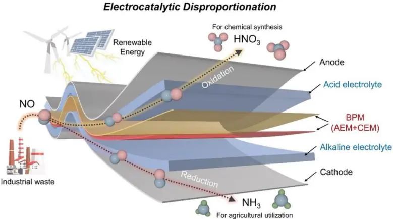 催化顶刊集锦：Nature子刊、Angew.、JACS、AEM、ACS Catalysis等成果