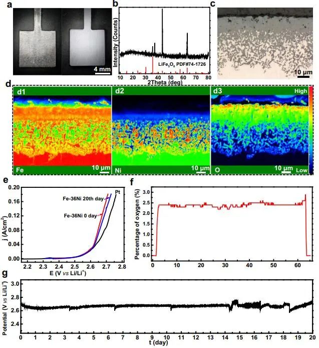 催化顶刊集锦：Nature子刊、JACS、EES、AM、AFM、Nano Letters等成果