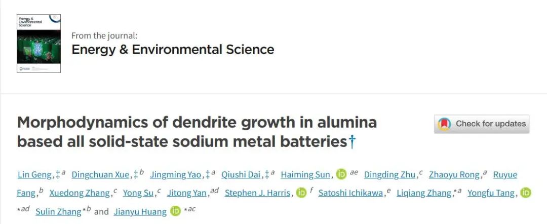黄建宇/唐永福EES：氧化铝基全固态钠金属电池中枝晶生长的形态动力学