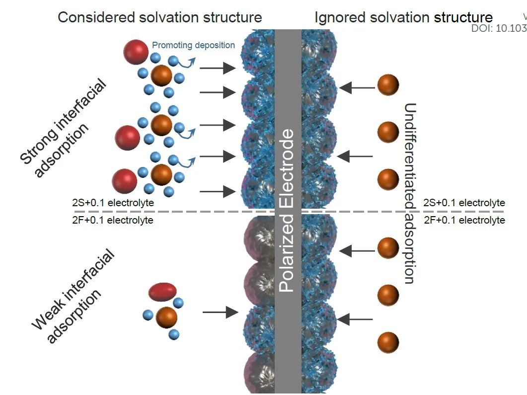 韩炜/陈铎EES：从溶剂化结构的吸附行为角度理解锌化学