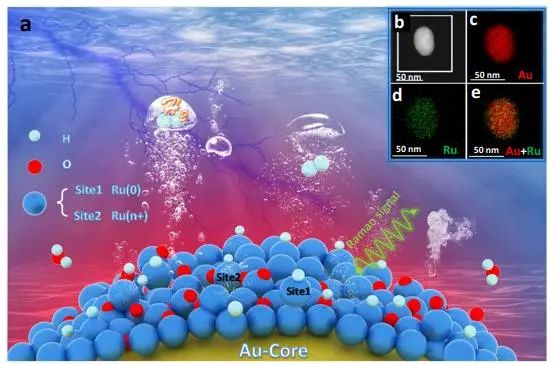 Nature子刊：计算+原位拉曼！揭示界面水及Ru表面中间体在碱性HER中的作用