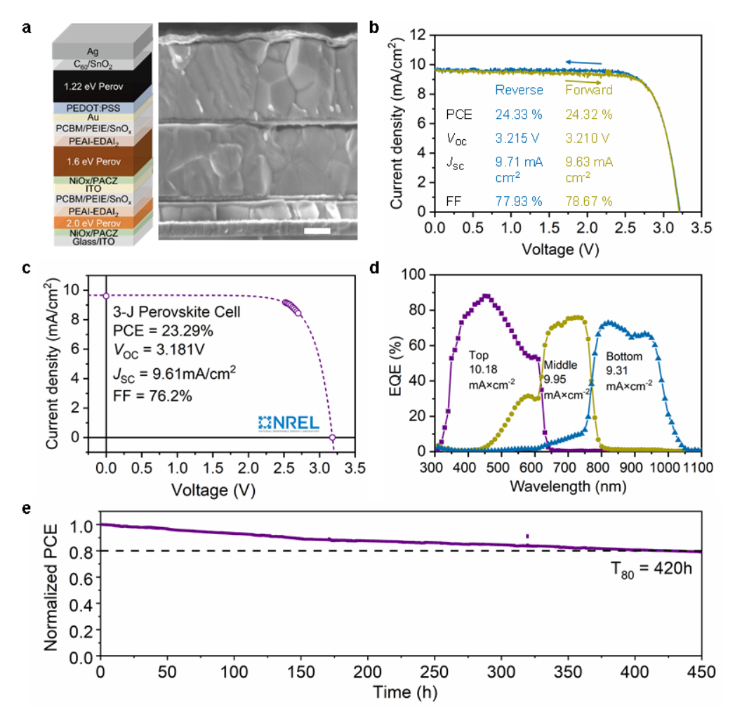 Edward H. Sargent最新Nature！四位留学生共同一作，多位大佬鼎力参与！