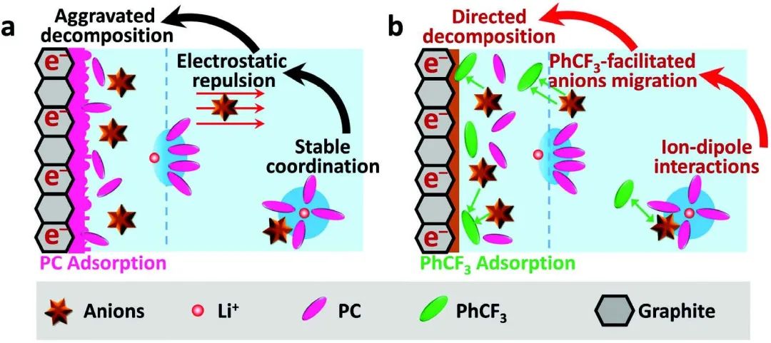 谢佳/曾子琪Adv. Sci.：与石墨软包电池兼容的中浓度PC电解液