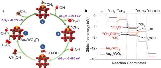 8篇催化顶刊：JACS、ACS Catal.、Nano Energy、JMCA、Chem. Eng. J.等成果