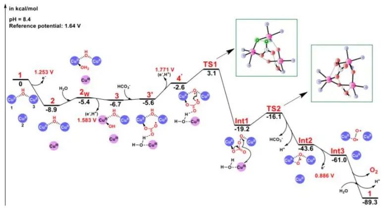 催化顶刊集锦：Nature、JACS、Nano Energy、ACS Catal.、Chem. Eng. J.等成果