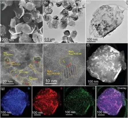 阿尔伯塔大学骆静利Small: 铋基异质结构的界面诱导促进CO2还原