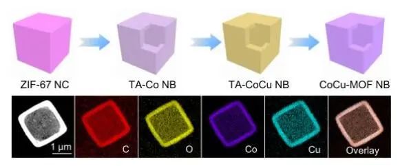 楼雄文Angew.：CoCu-MOF NBs实现高效电化学OER