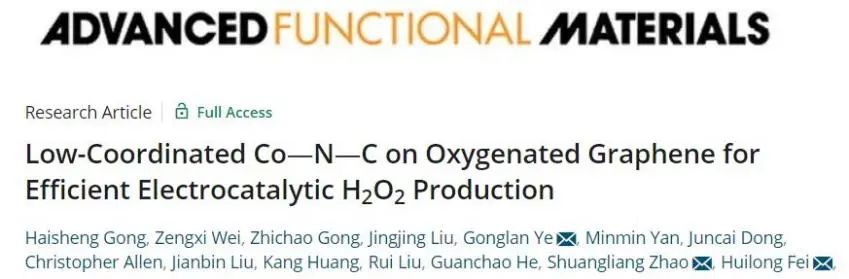 费慧龙/叶龚兰/赵双良AFM: 高选择性，高活性。低配位Co-N-C用于高效电催化H2O2生产