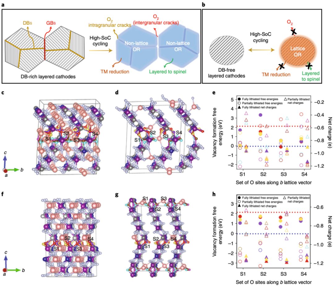 大牛合作最新Nature Energy：锂电新认识！