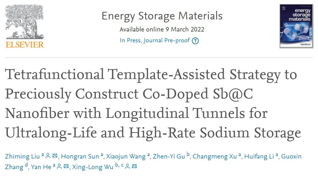 刘治明/何燕/吴兴隆EnSM：四功能模板辅助策略构建高性能纤维电极