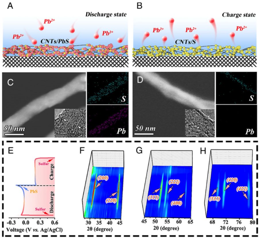 宁波大学PNAS：首次报道铅硫电池，彻底解决穿梭效应和枝晶难题！