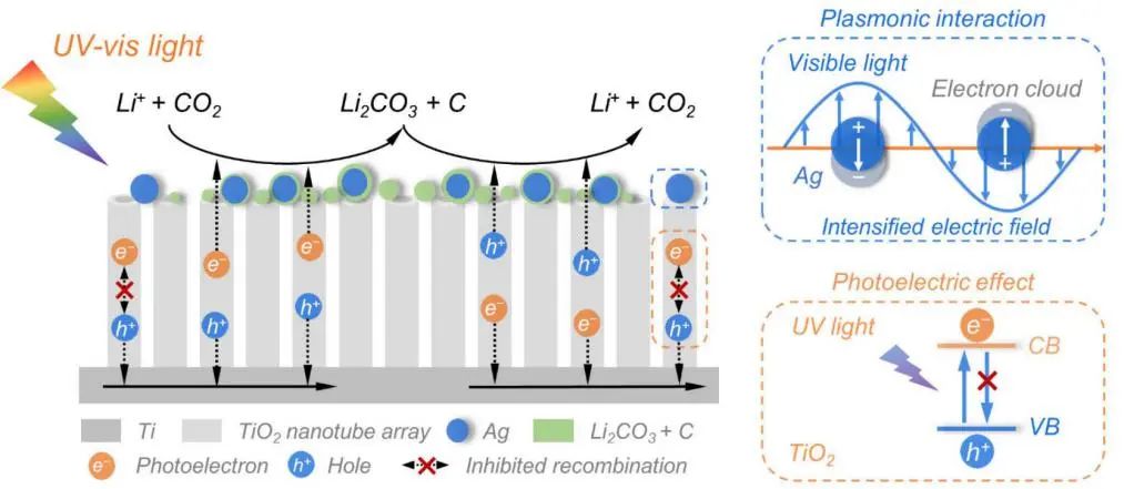复旦彭慧胜/王兵杰Angew: 光电效应+等离激元协同提高Li-CO2电池性能