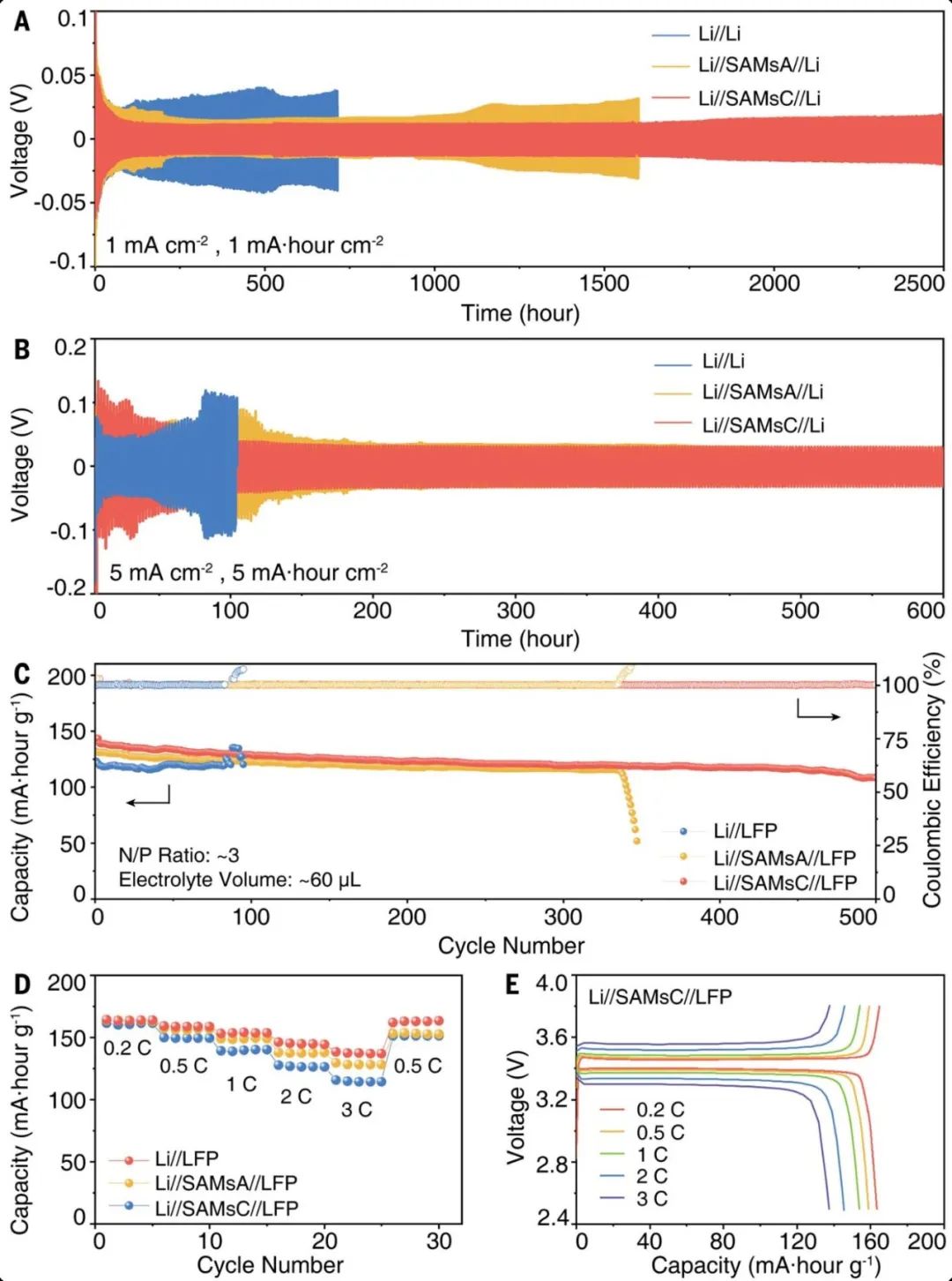 浙工大陶新永/NTU楼雄文Science：构筑LiF界面，实现锂金属电池突破