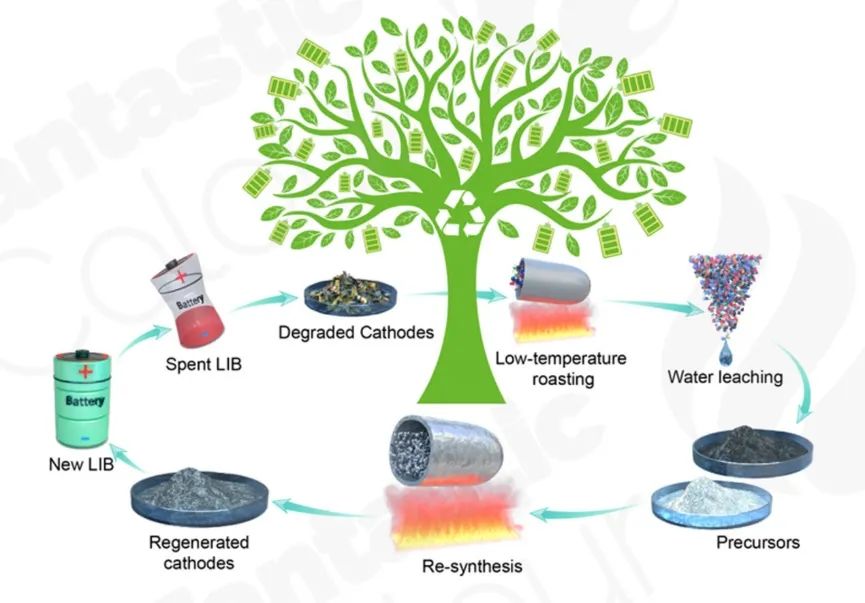 周光敏/梁正EnSM：将废旧LiCoO2直接绿色转化为高性能LiCoO2正极