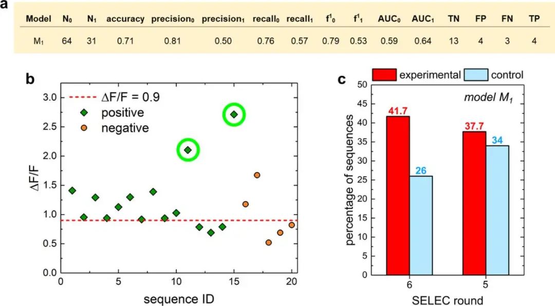 ACS Nano: 机器学习+近红外荧光光谱发现新型DNA-碳纳米管传感器