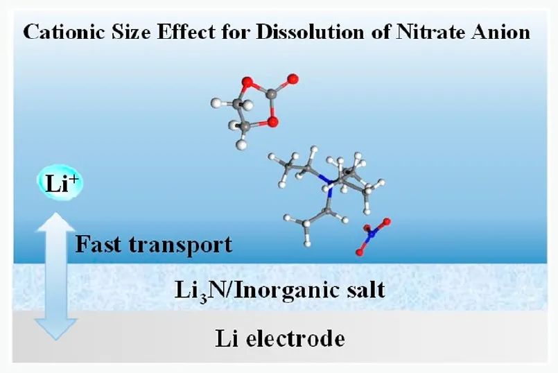 河大赵勇ACS Energy Lett.：阳离子尺寸效应促进NO3-在酯类电解液中的溶解