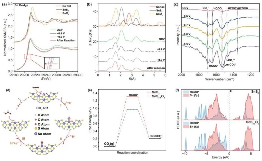 催化顶刊集锦：ACS Catalysis、Small、Nano Energy、NML、Appl. Catal. B.等成果