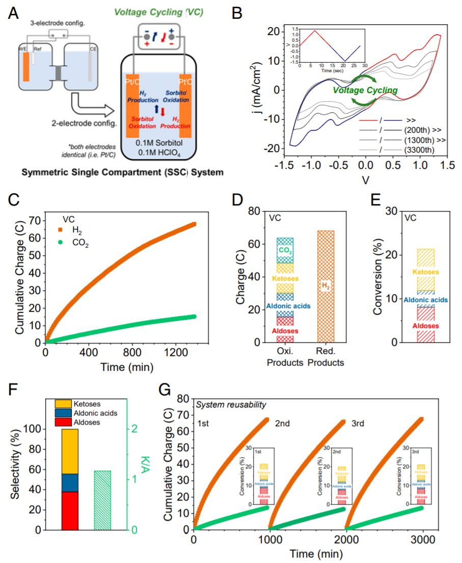 PNAS：电催化新概念！电位循环，产物蹭蹭蹭往上涨！