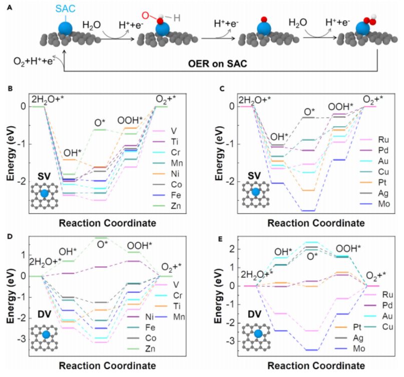 这本新子刊，会成为Nature Communications，还是Scientific Reports?