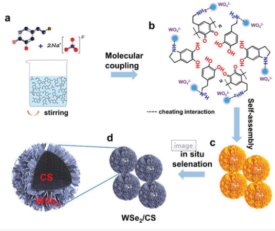 唐永炳/杨景海Small Methods：WSe2/碳微纳分级结构的分子偶联和自组装提高钠离子存储
