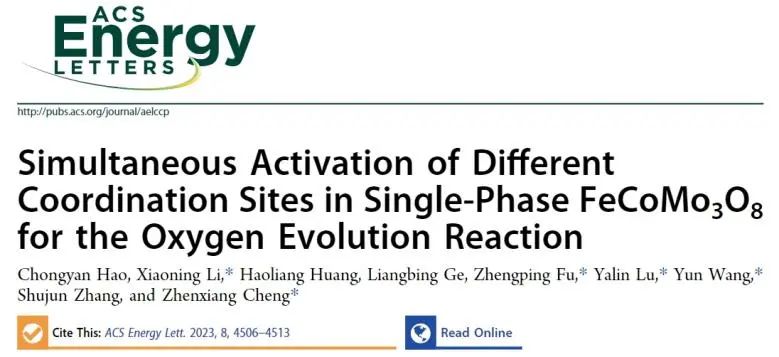 ​催化顶刊集锦：Nature子刊、Angew、AFM、ACS Nano、ACS Energy Lett.等成果