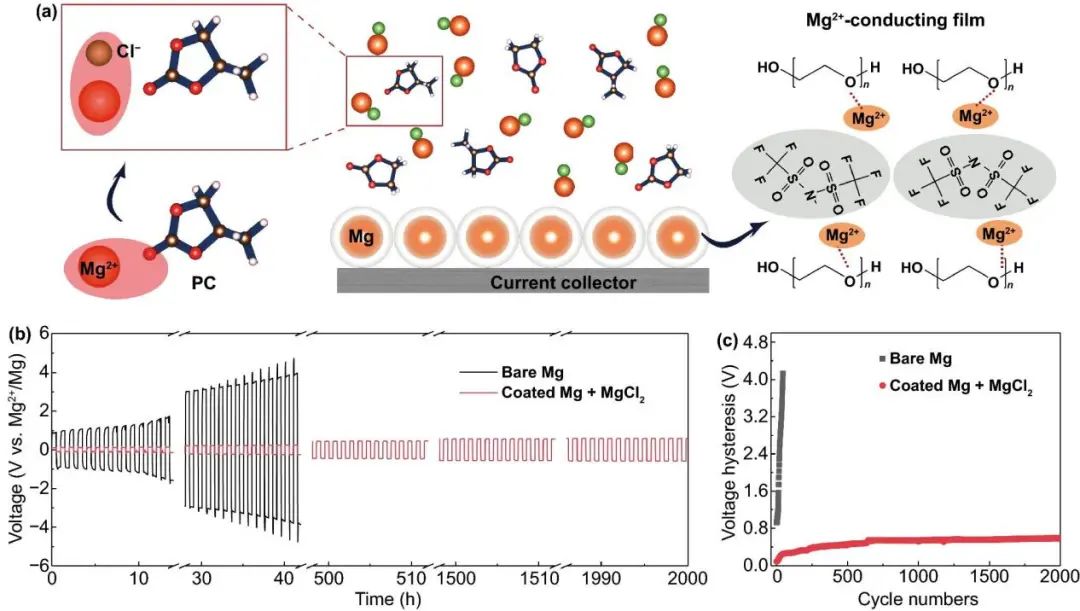 ​电池顶刊集锦：NSR、EES、NML、JACS、Nat. Commun.、Sci. Adv.、Nano Lett.等成果