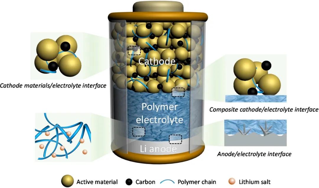 北工大尉海军/郭现伟Mater. Today：固态锂金属电池中的聚合物电解质和界面