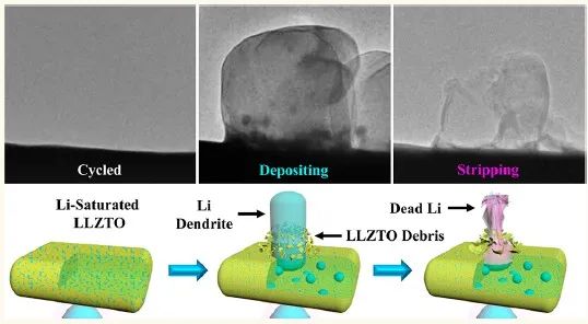 燕大ACS Nano：固态锂金属电池中锂穿透固态电解质和死锂动力学的原位可视化