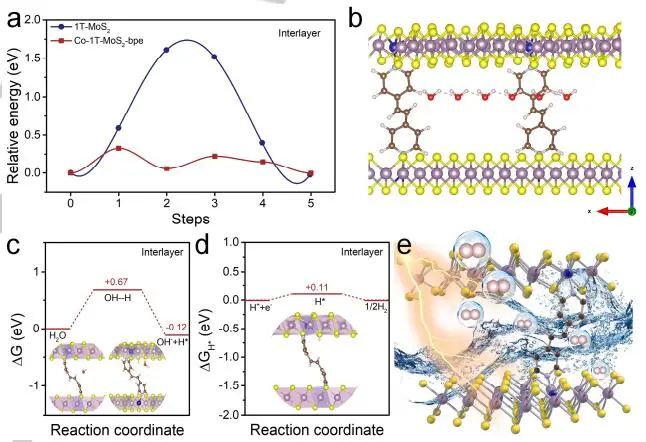 董斌团队Angew：Co-1T-MoS2-bpe碱性介质中电催化HER