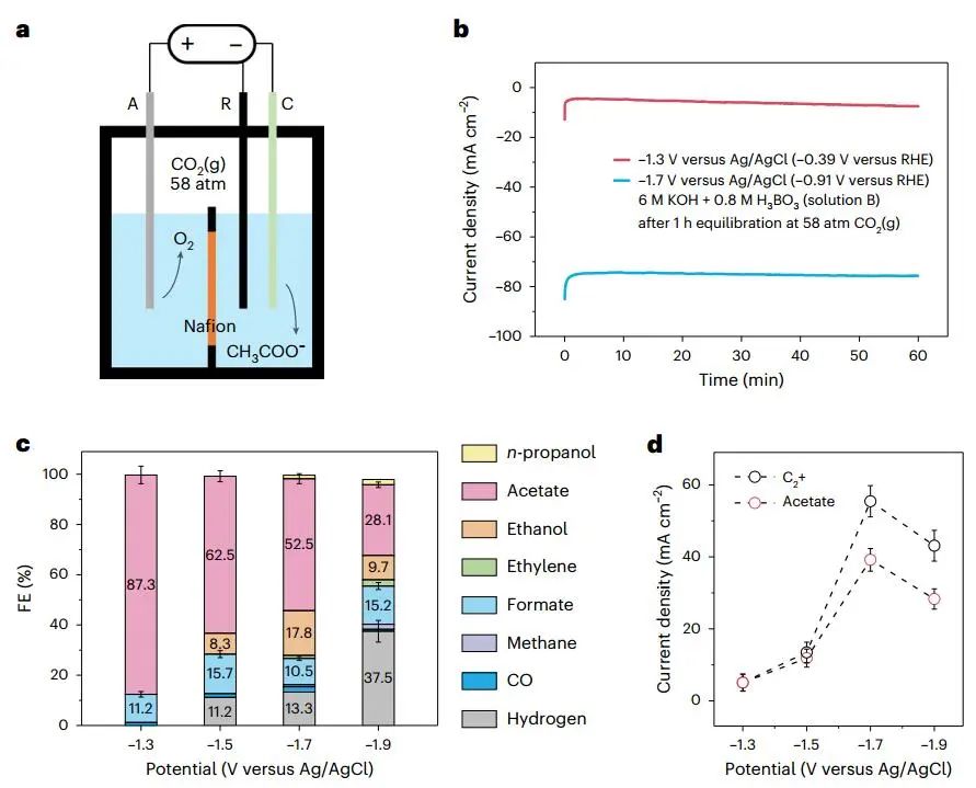 戴宏杰院士，最新Nature Catalysis！