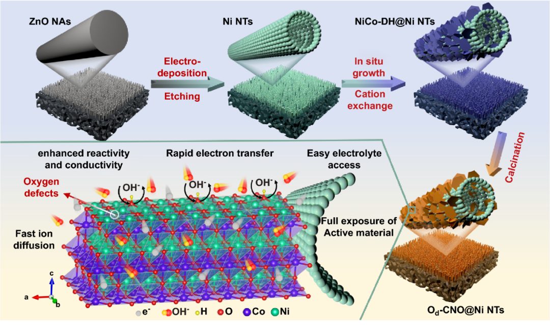 湖北大学/物构所Nano-Micro Lett.：氧缺陷增强阴离子吸附能实现Ni-Zn电池的超高倍率和耐用正极