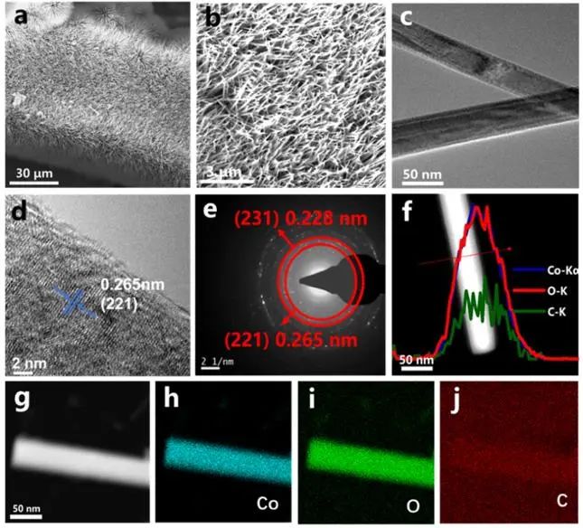 催化顶刊集锦：Nature子刊、JACS、Angew.、AFM、Nano Letters、ACS Catal.等成果