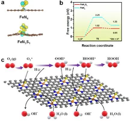 催化顶刊集锦：JACS、Nat. Catal.、Nat. Commun.、EES、Angew.、AFM等成果