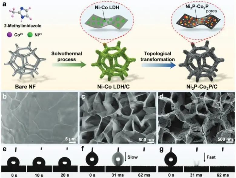 催化顶刊集锦：Nature子刊、JACS、ACS Nano、ACS Energy Lett.、AFM、NML等成果