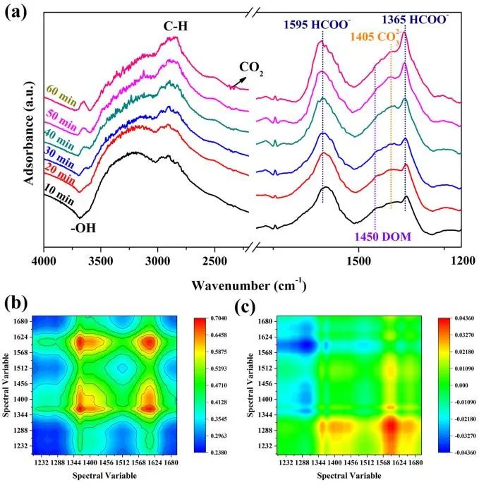 荣少鹏ACS Catalysis：首次报道！控制Mn3O4纳米棒的暴露面用于光热协同催化氧化甲醛