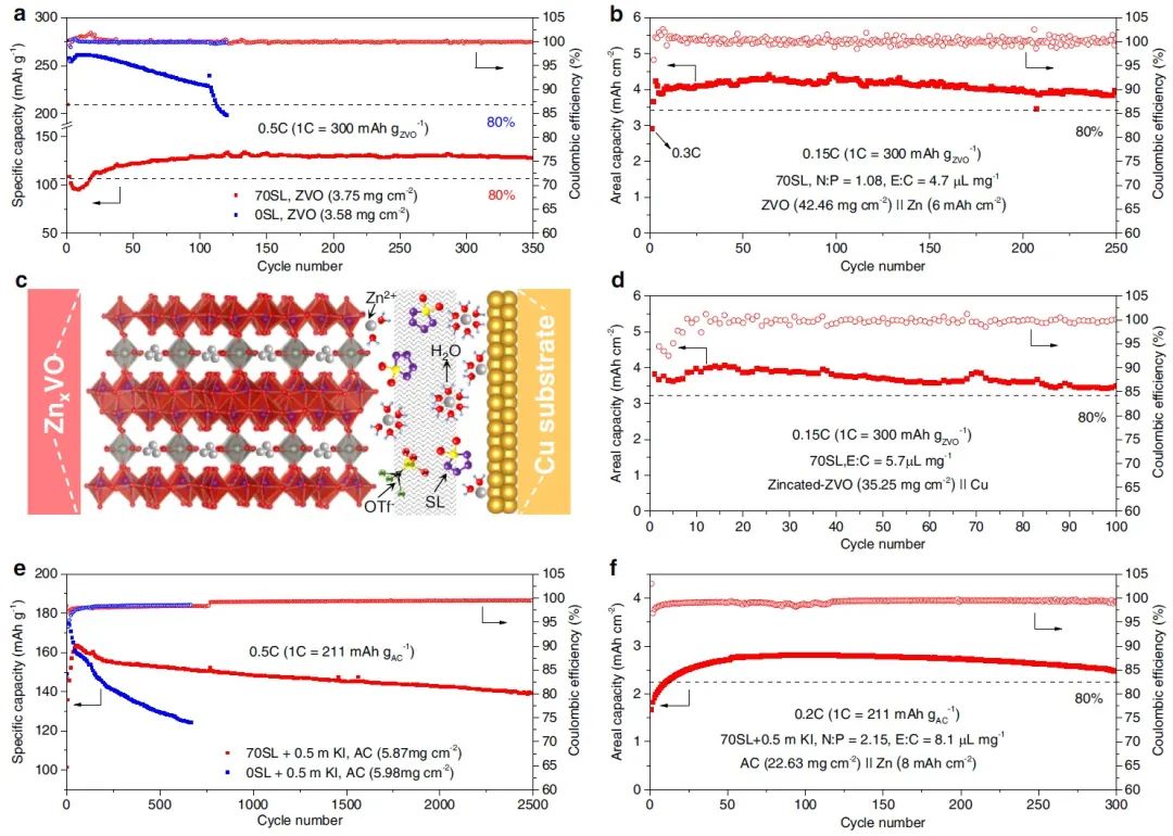 电池顶刊集锦：Nature子刊、AM、AEM、Angew.、AFM、Matter等成果！