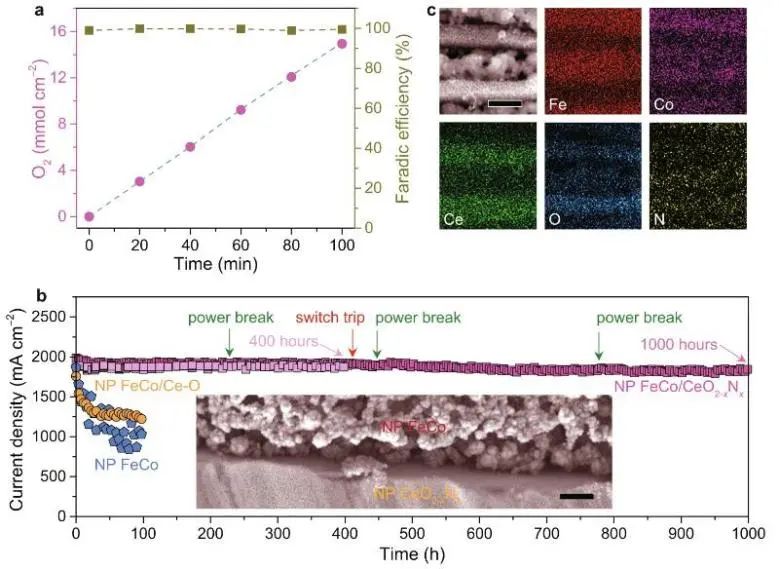 Nature子刊：3900 mA cm−2下亦稳定！纳米多孔FeCo/CeO2−xNx用于大电流下催化OER