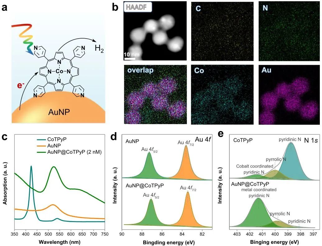 Nature子刊：金纳米粒子与钴卟啉的强协同作用诱导高效光催化析氢